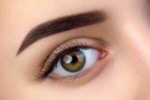 A close up of a woman's eye with brown eyebrows.